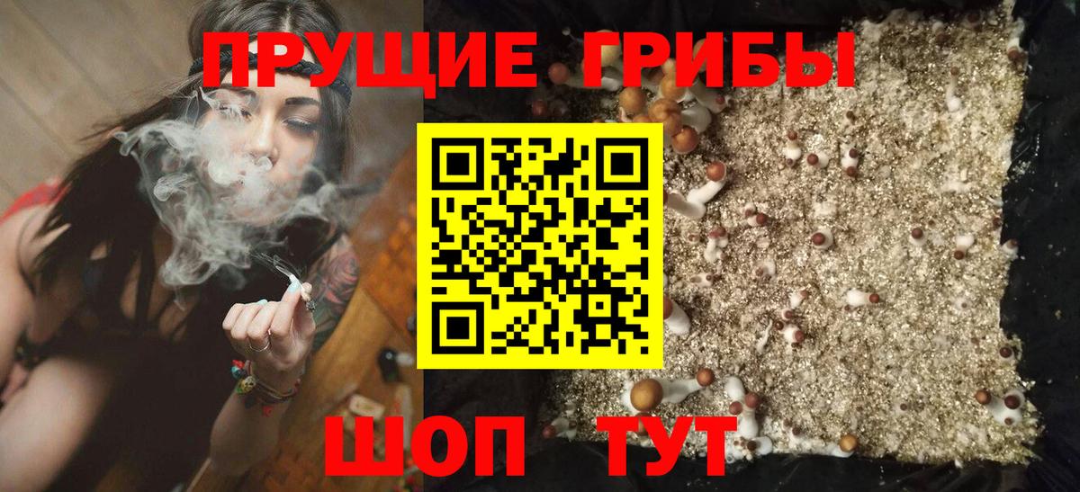сколько стоит  Вход с VPN  Валуйки  Галлюциногенные грибы прущие грибы 